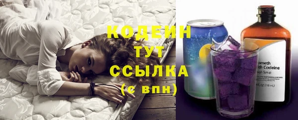 мдпв Россошь