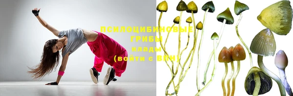 дживик Верея