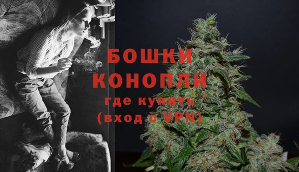 дживик Верея