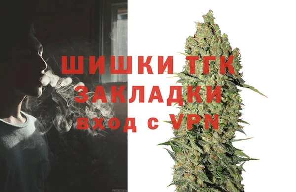 дживик Верея