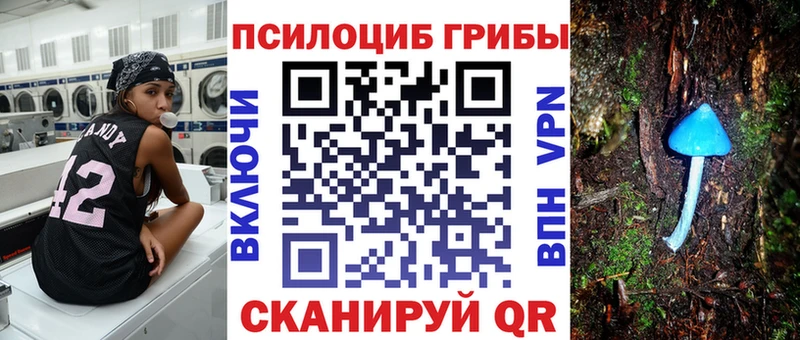 Псилоцибиновые грибы мухоморы  нарко площадка телеграм  Северобайкальск  как найти наркотики 